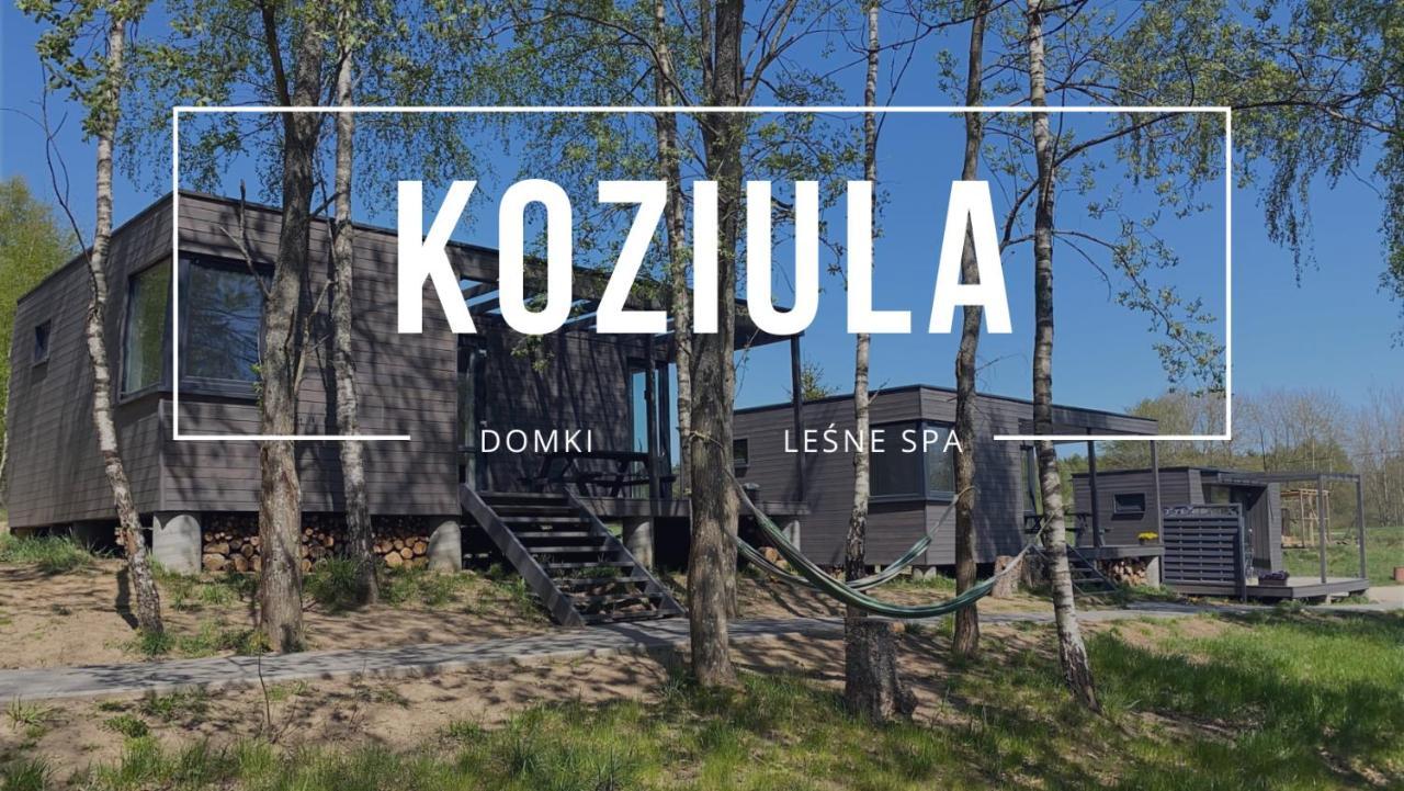 Koziula - Domki I Lesne Spa Na Kaszubach Przywidz  Buitenkant foto