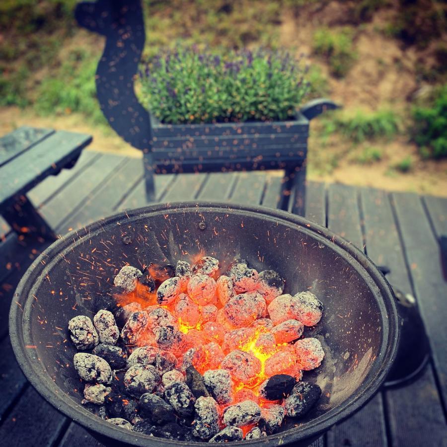 Koziula - Domki I Lesne Spa Na Kaszubach Przywidz  Buitenkant foto