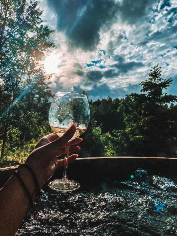 Koziula - Domki I Lesne Spa Na Kaszubach Przywidz  Buitenkant foto