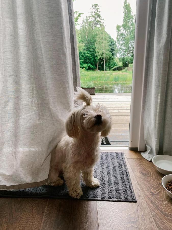 Koziula - Domki I Lesne Spa Na Kaszubach Przywidz  Buitenkant foto